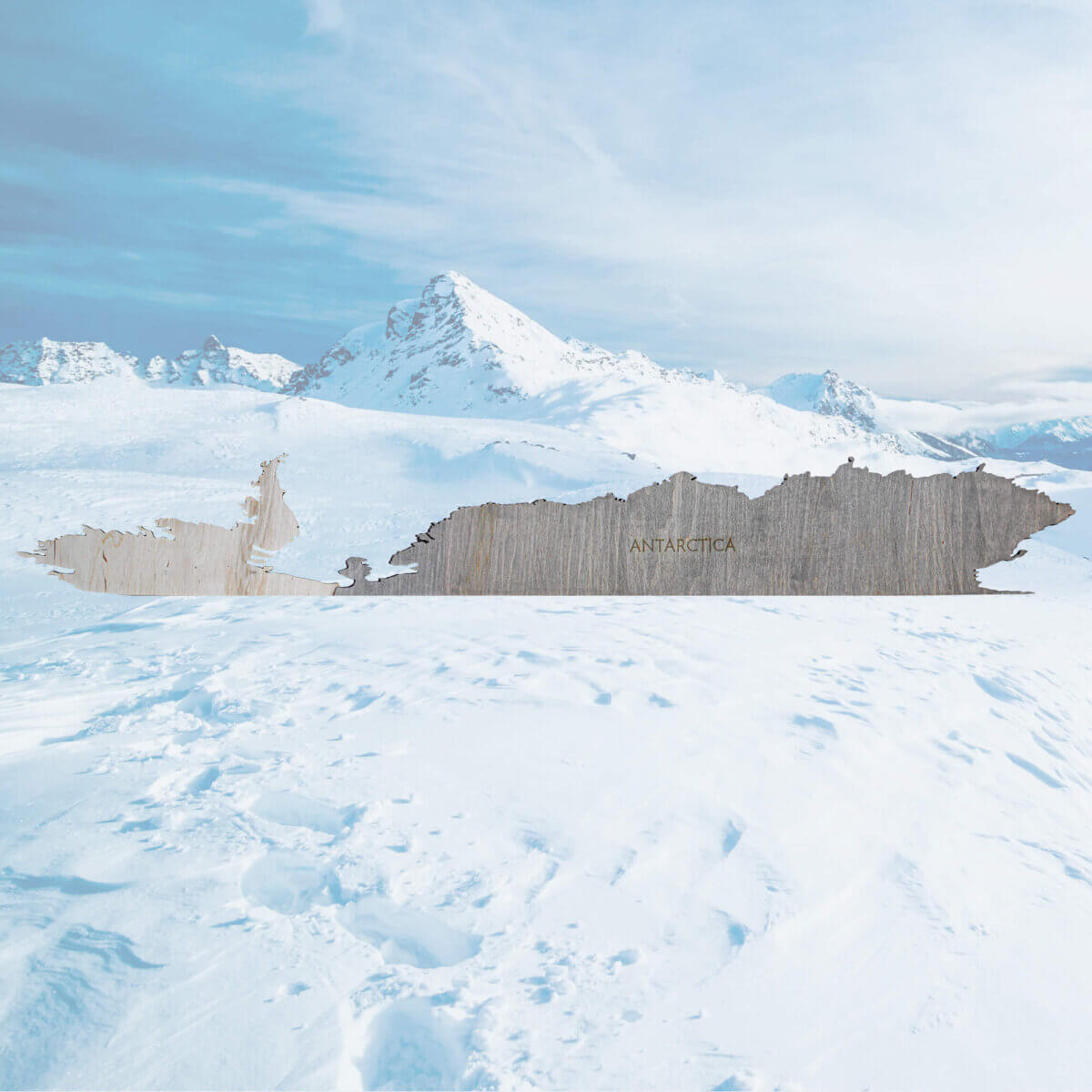 Panel de madera de la Antártida