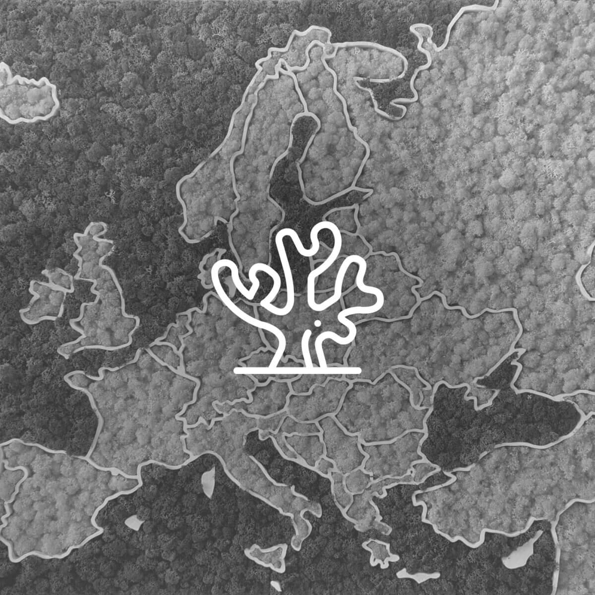 3D mapas de musgo