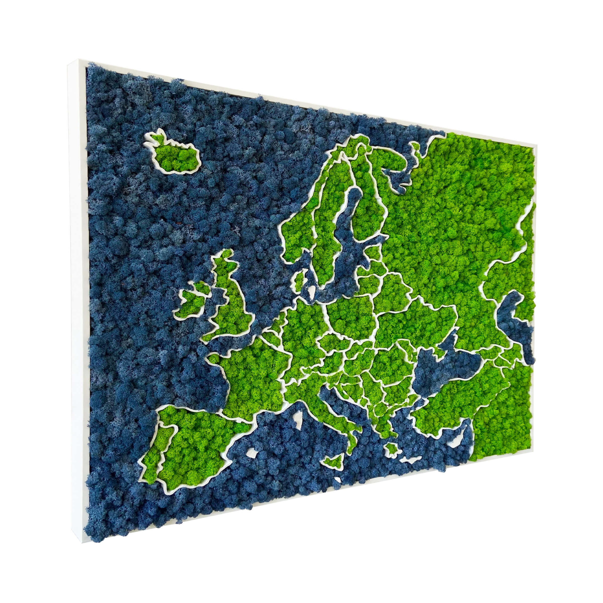 3D Moss Europe Map - organic lichen