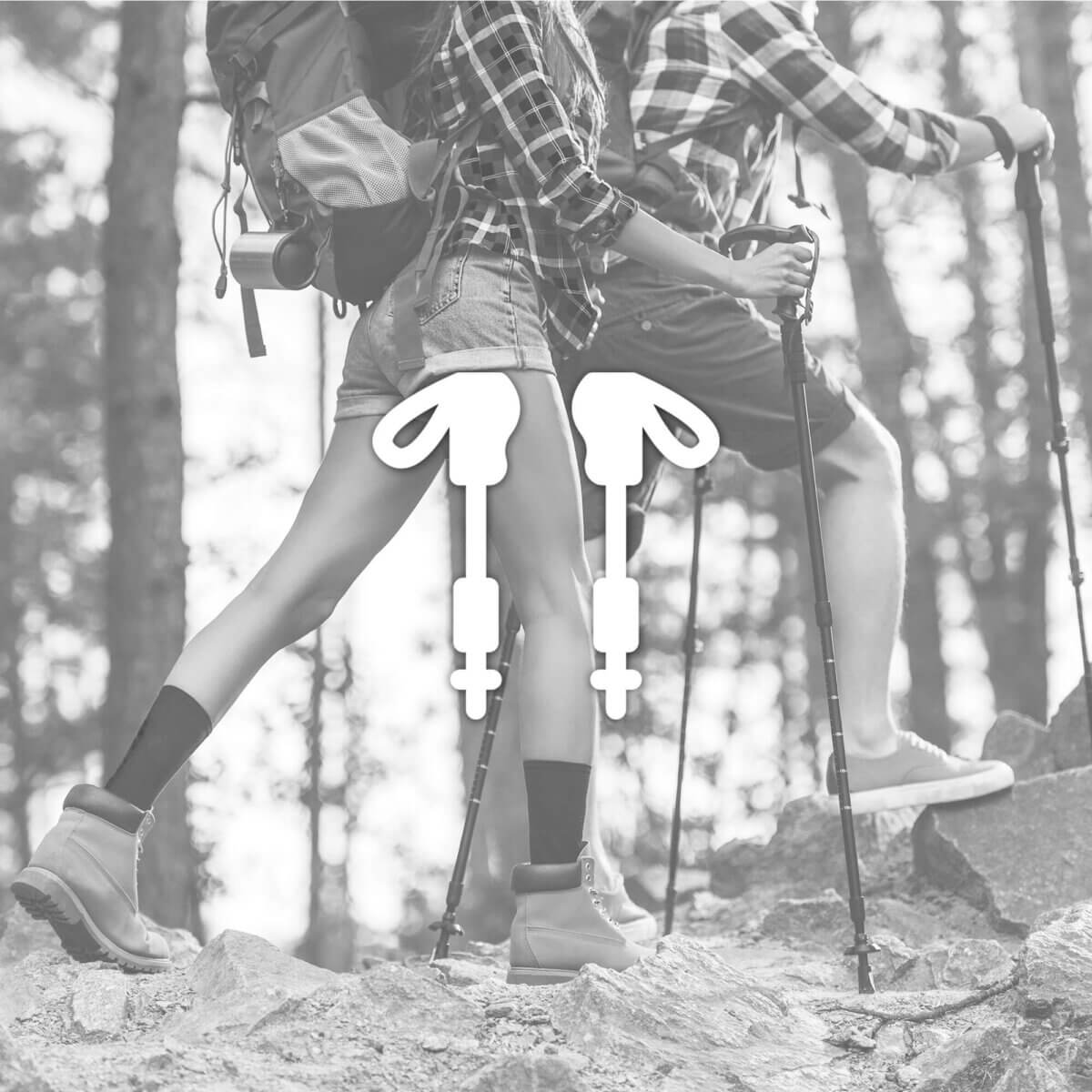 Bastones de trekking